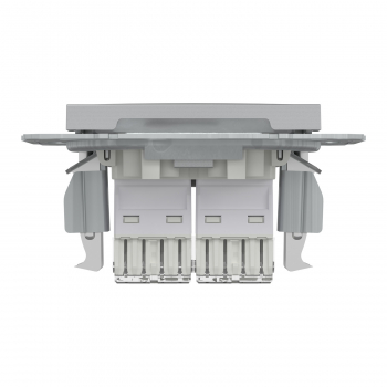 Schneider Asfora - Netzwerkdose - ISDN-​Dose CAT6 2xRJ45
