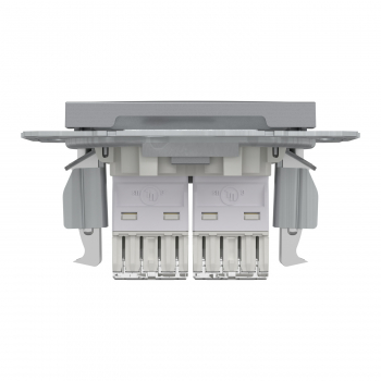 Schneider Asfora - Netzwerkdose - ISDN-​Dose CAT5e 2xRJ45
