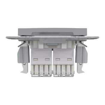 Schneider Asfora - Netzwerkdose - ISDN-​Dose CAT6 2xRJ45